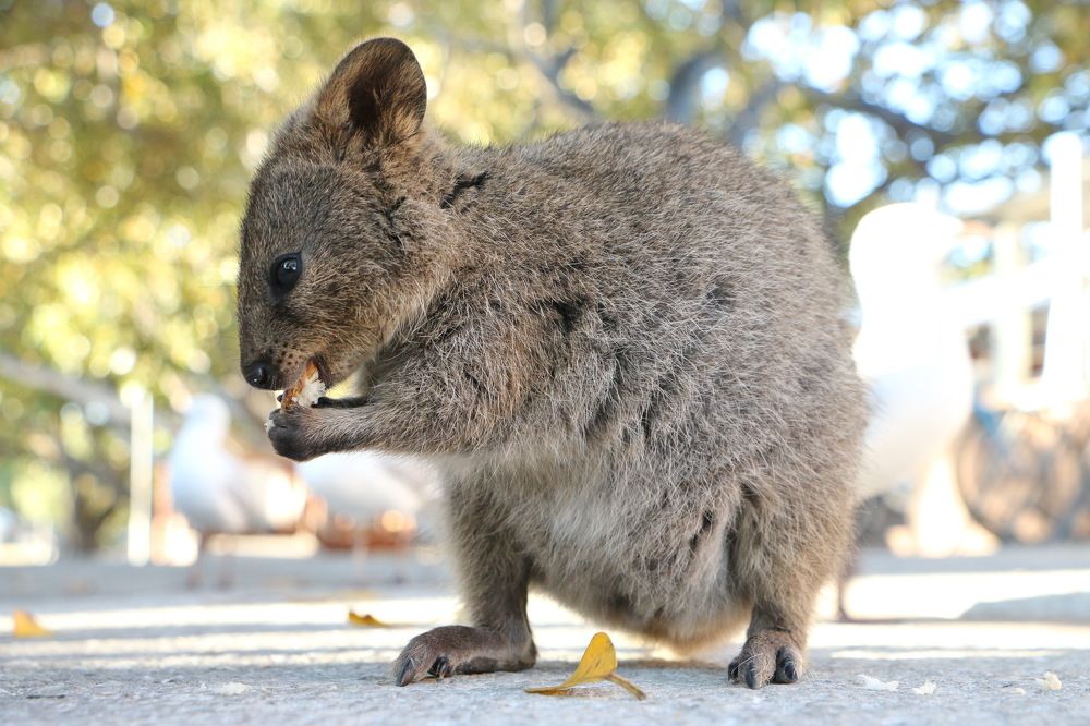 Photograph by Tatiana Serova