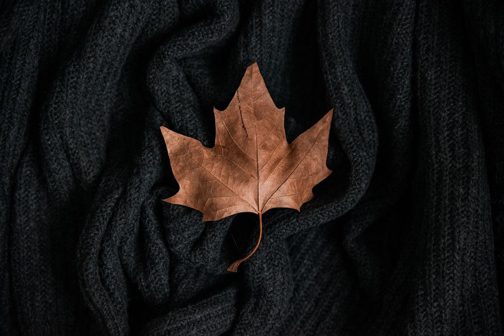 Photograph by Karyna