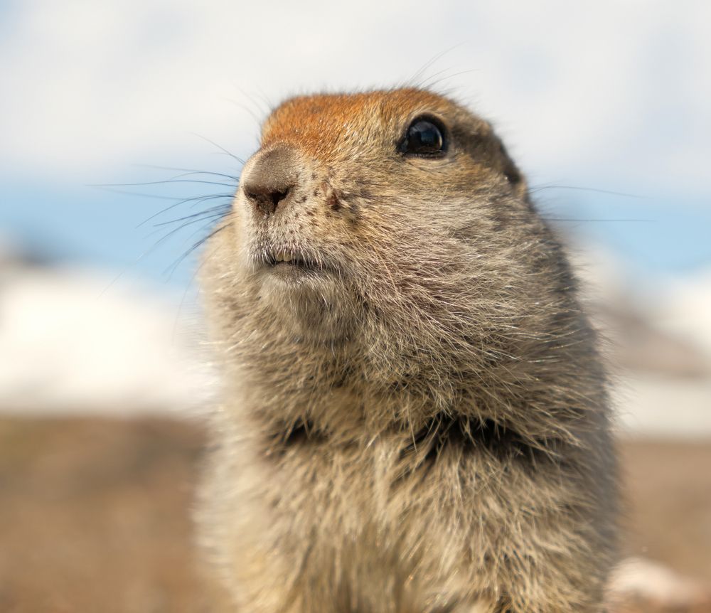 Photograph by Наталья Королева