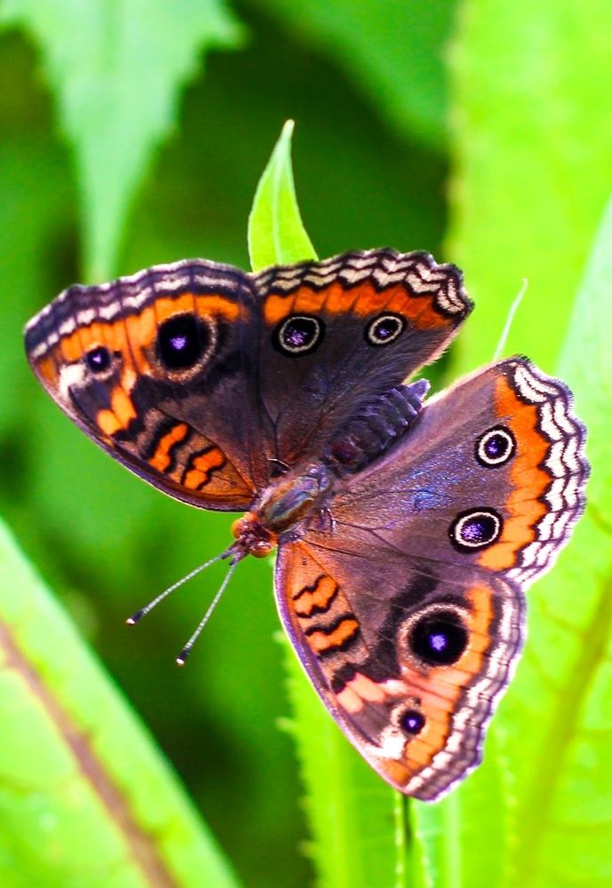 Photograph by Mariana Barboza