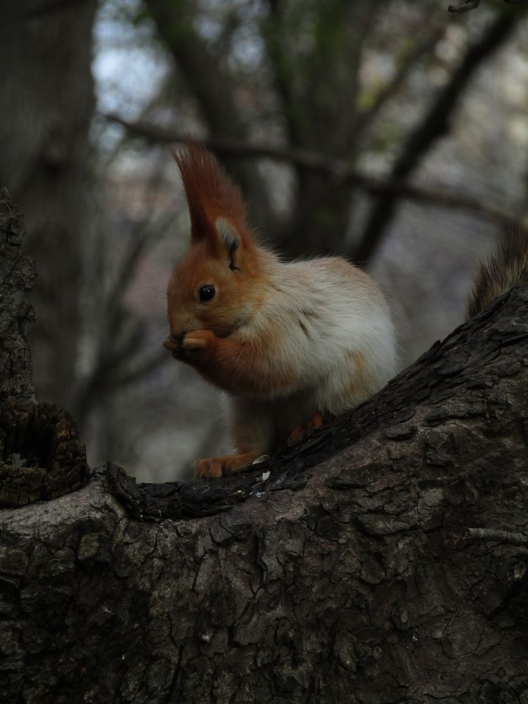 Photo #9929546