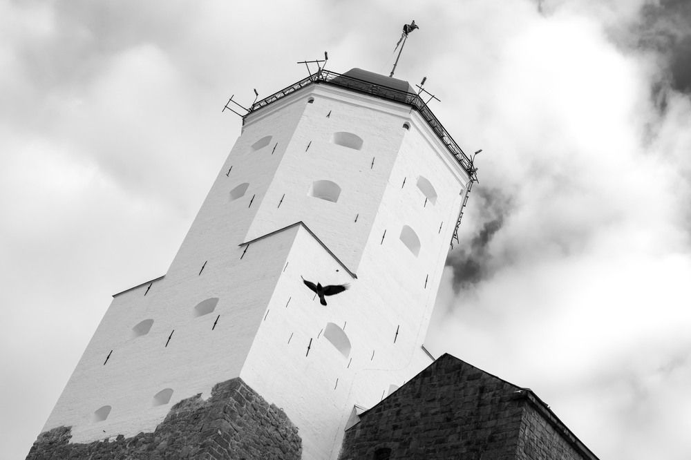 Photograph by Дмитрий Марков