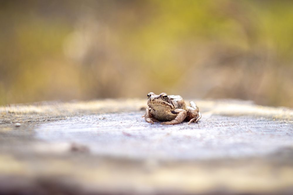 Photograph by Дмитрий Марков