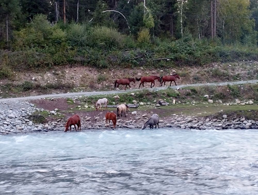 Photograph by Рашид Шайдулин