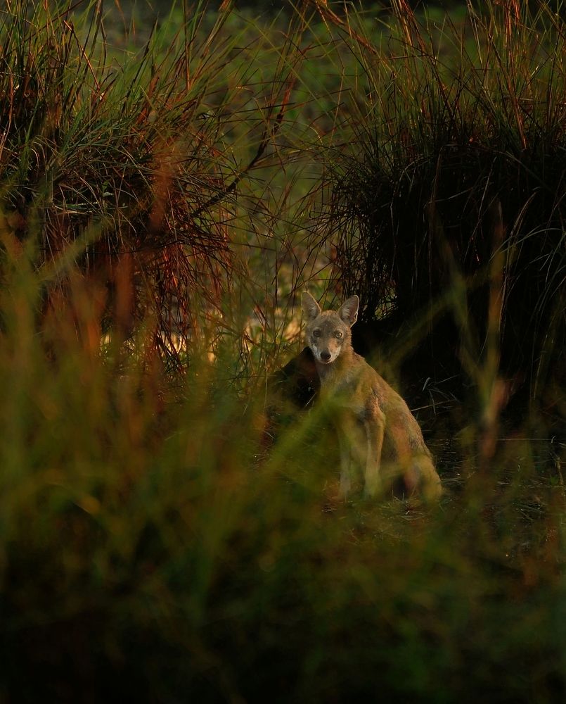 Photograph by George S George