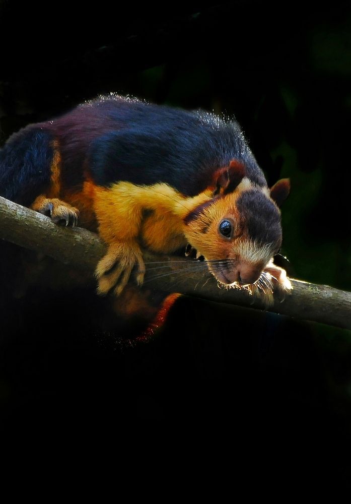 Photograph by George S George