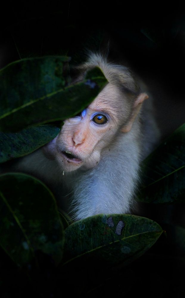 Photograph by George S George