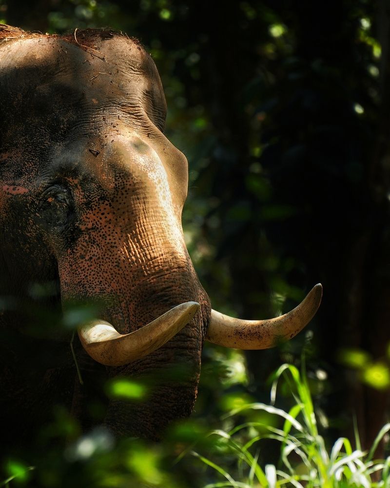 Photograph by George S George