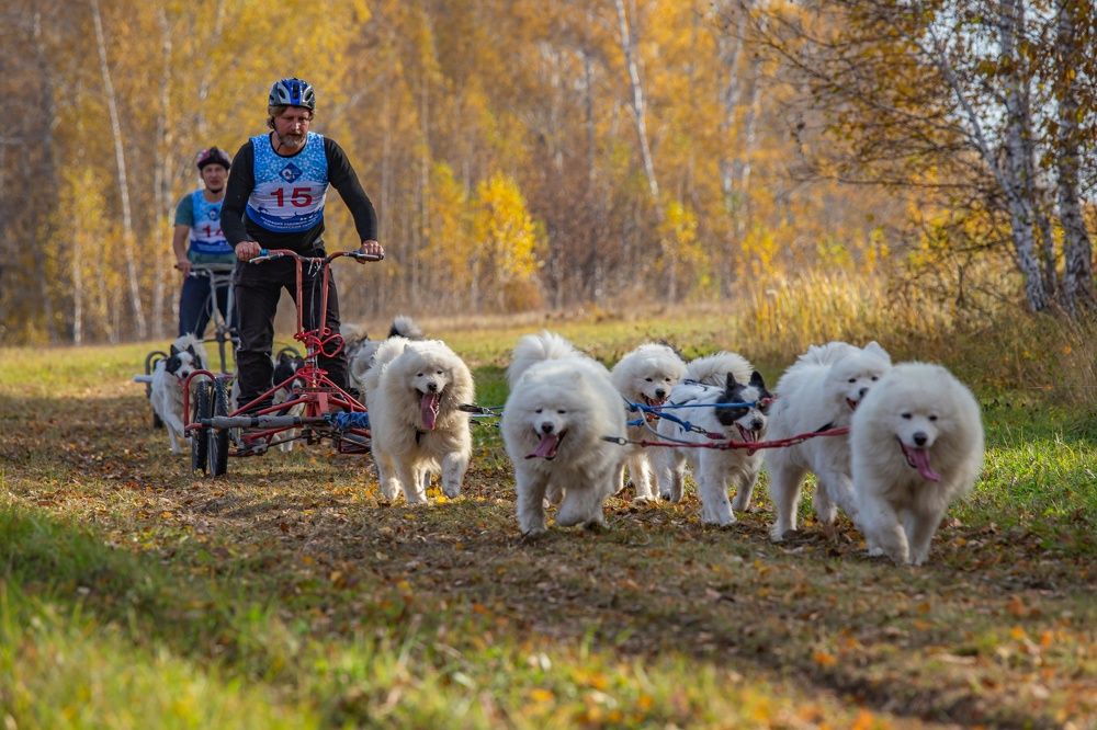 Photograph by Елена Павлова