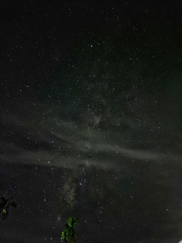 Photograph by George S George