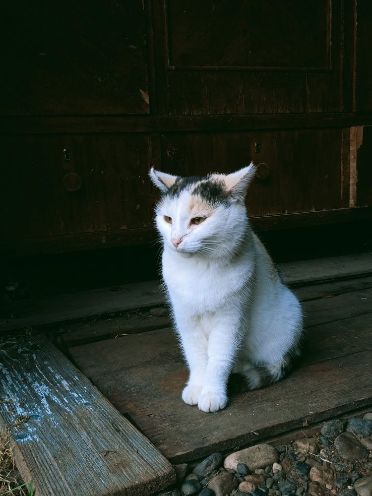 Photograph by Юлия Валеева