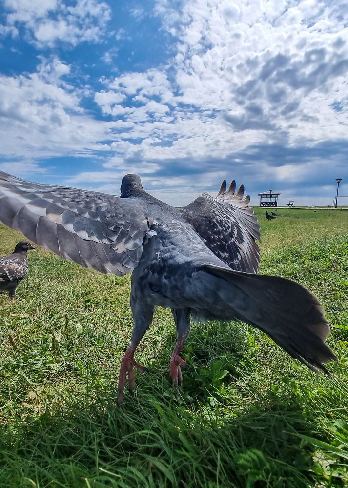 Photograph by Амарбаясгалан