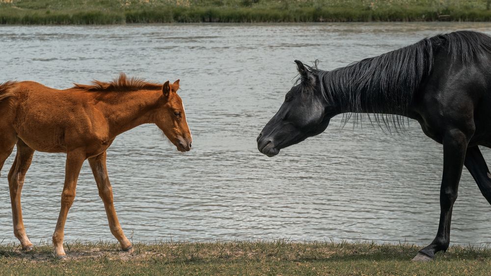 Photograph by Аркадий Морозов