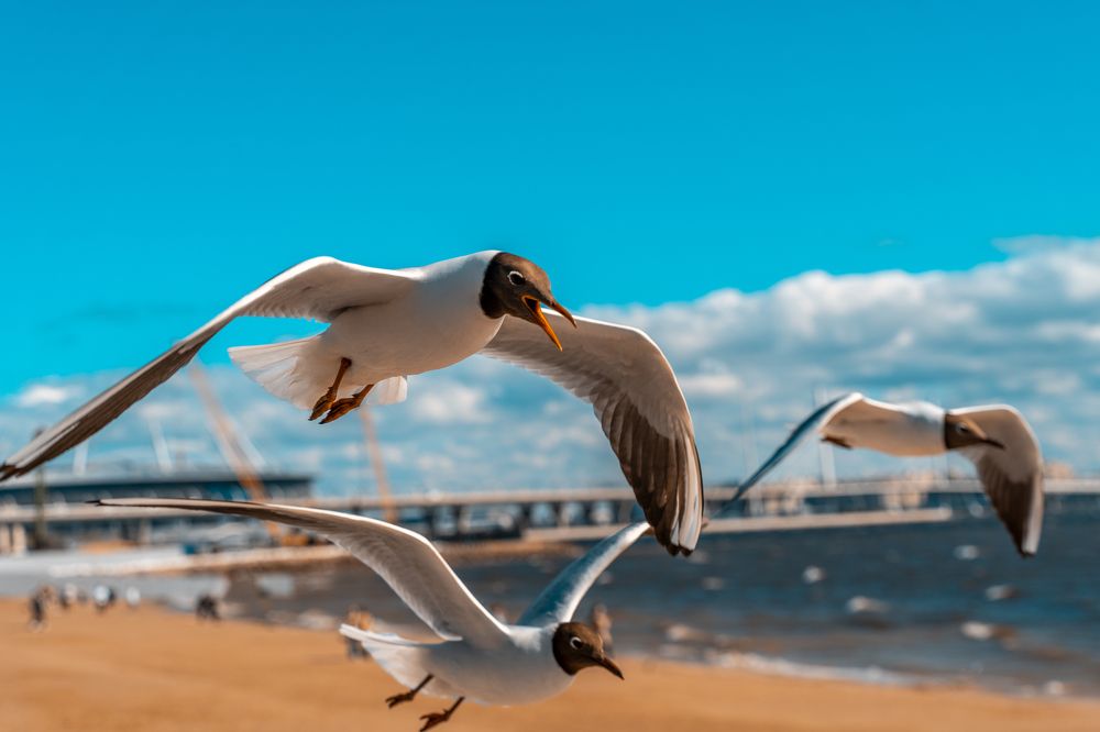 Photograph by Аркадий Морозов