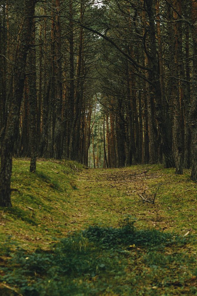 Фотография автора Евгения Малашенко