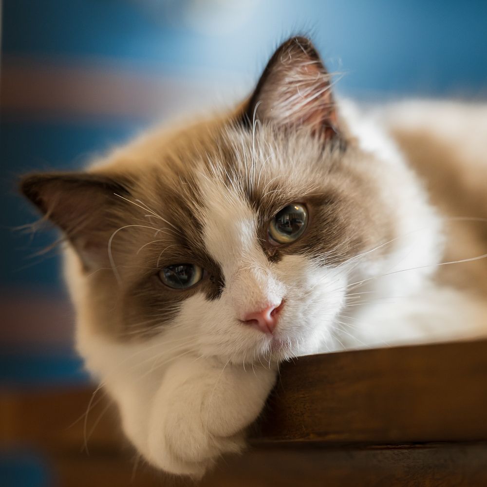 Photograph by Wiese Michael