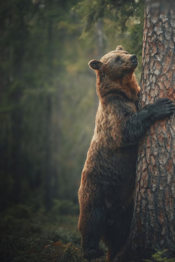 Photograph by Ernestas Balcikonis