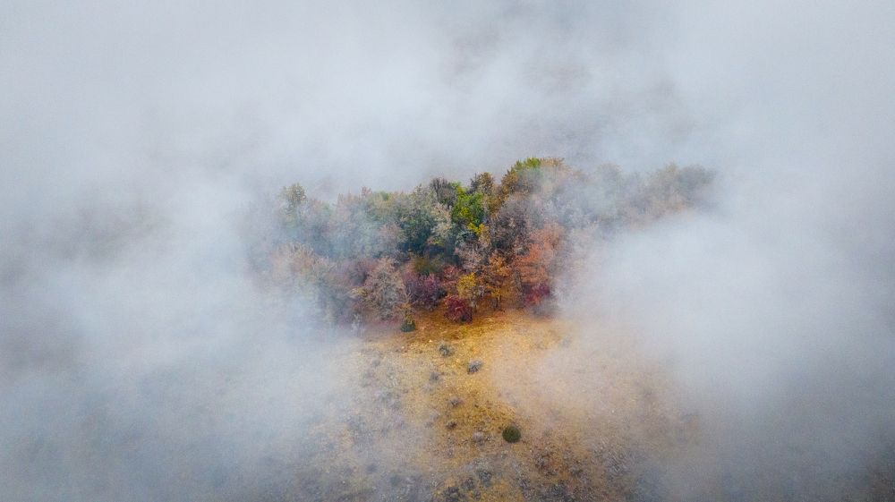 Photograph by Марат Наджибаев