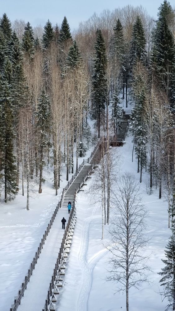Photo #9930297