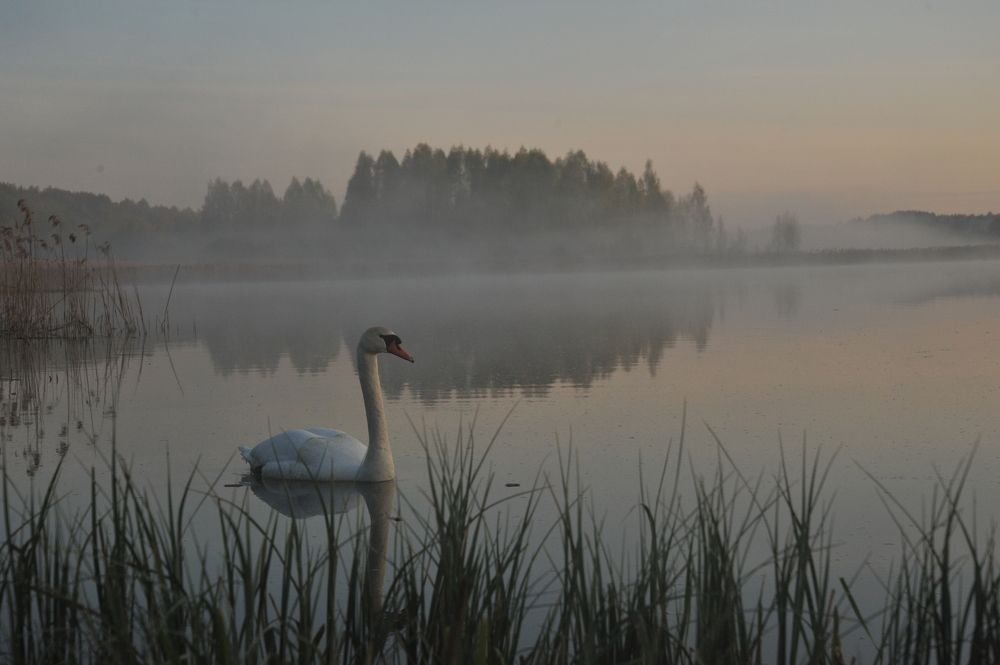 Photograph by Юрий Яковлев