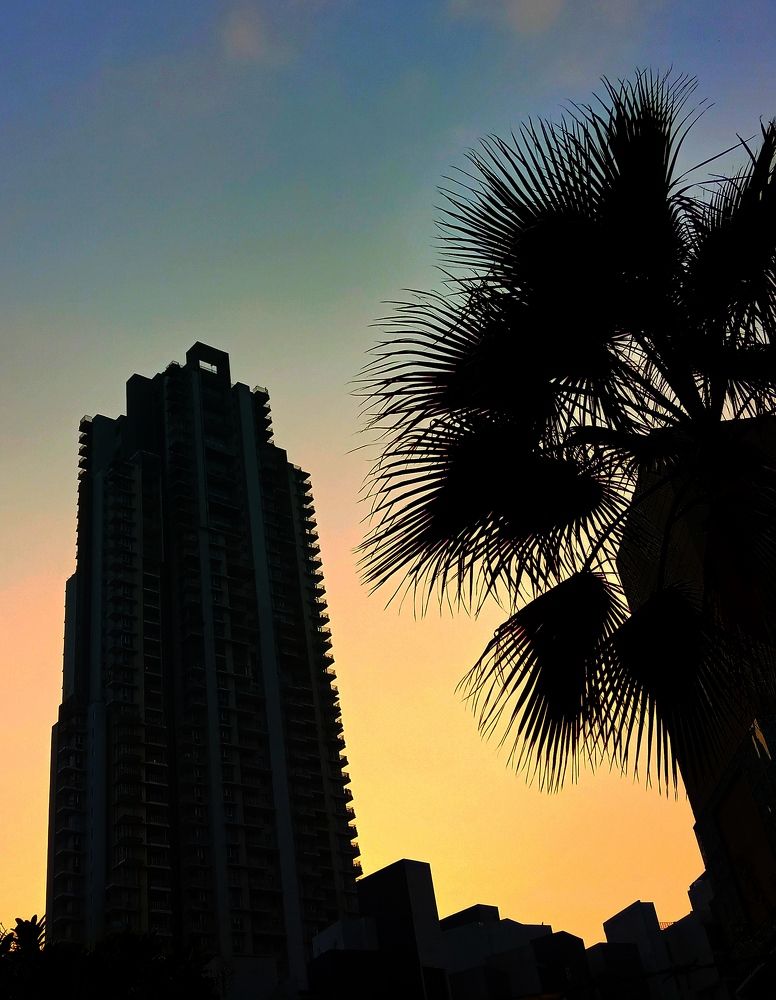 Photograph by Ritu Dinkar