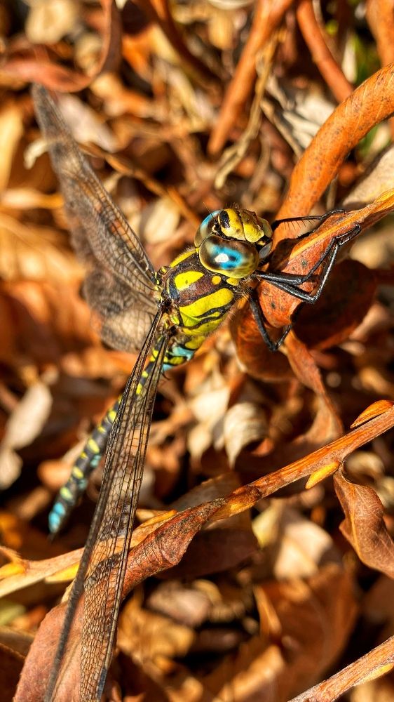 Photograph by Фисун Евгений