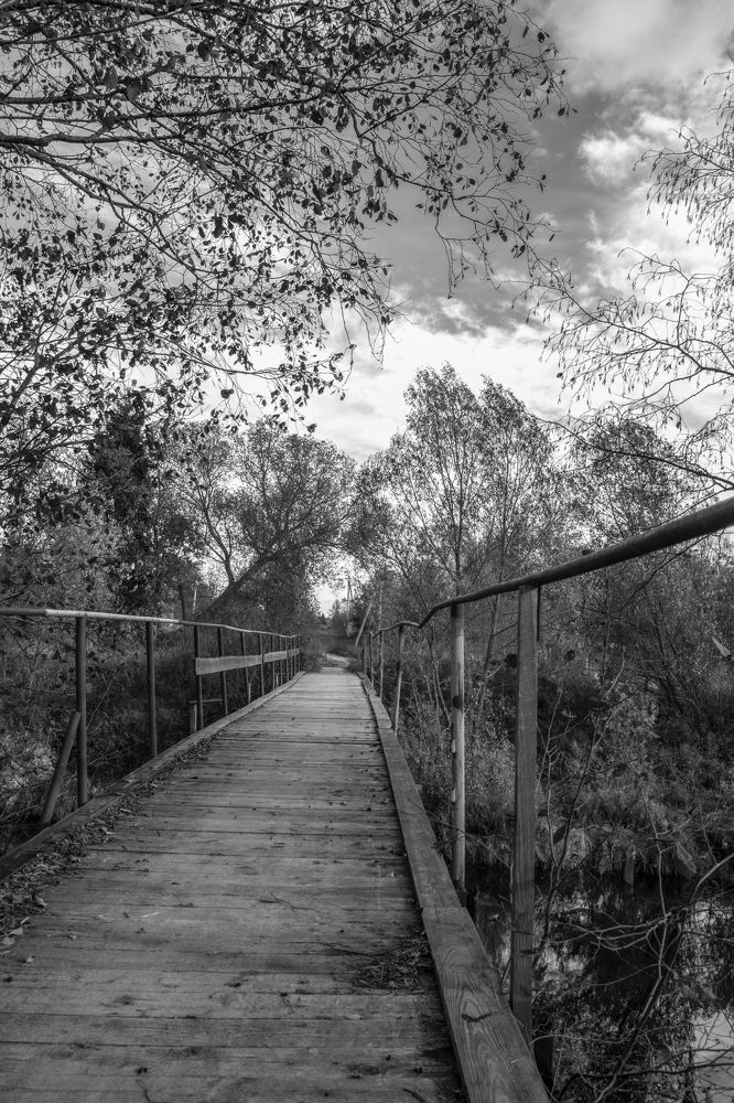 Фотография автора Геннадий Коробов