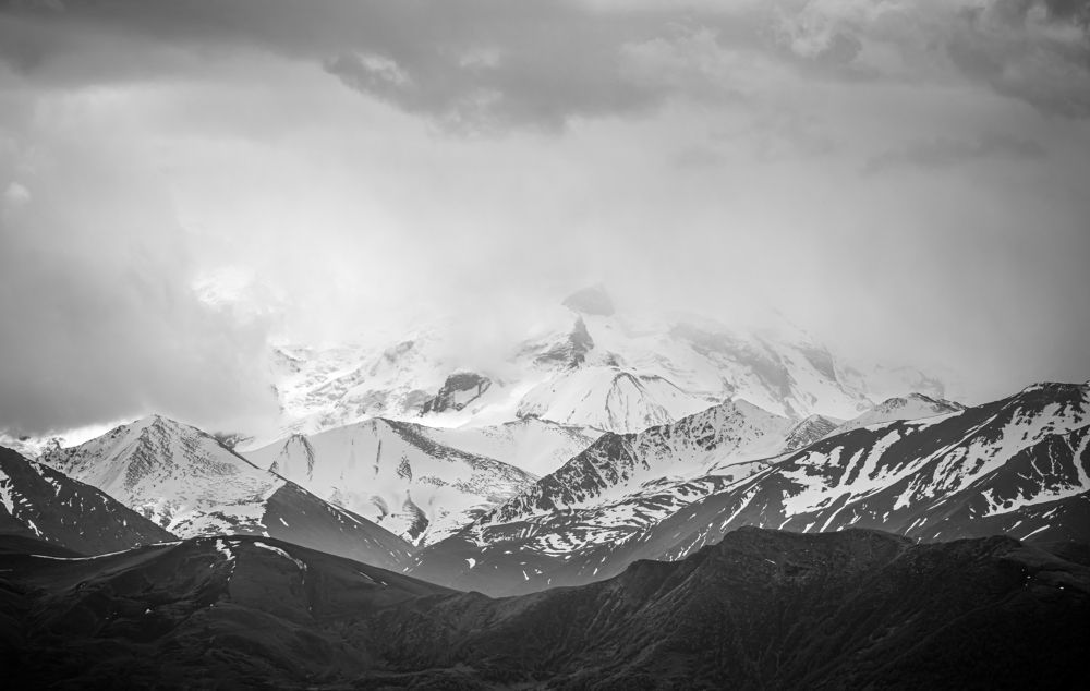 В туманном безмолвии