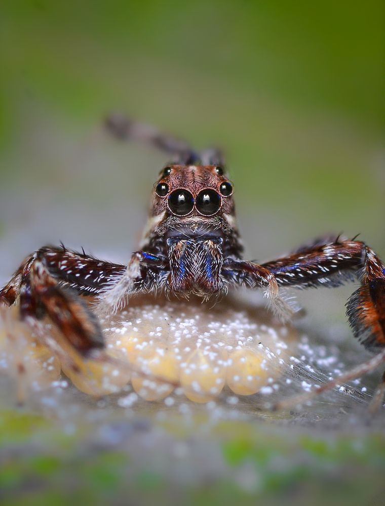 Photograph by Kasun Wickramasinghe