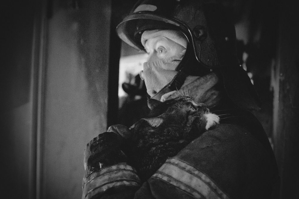 Photograph by Александр Кулаков