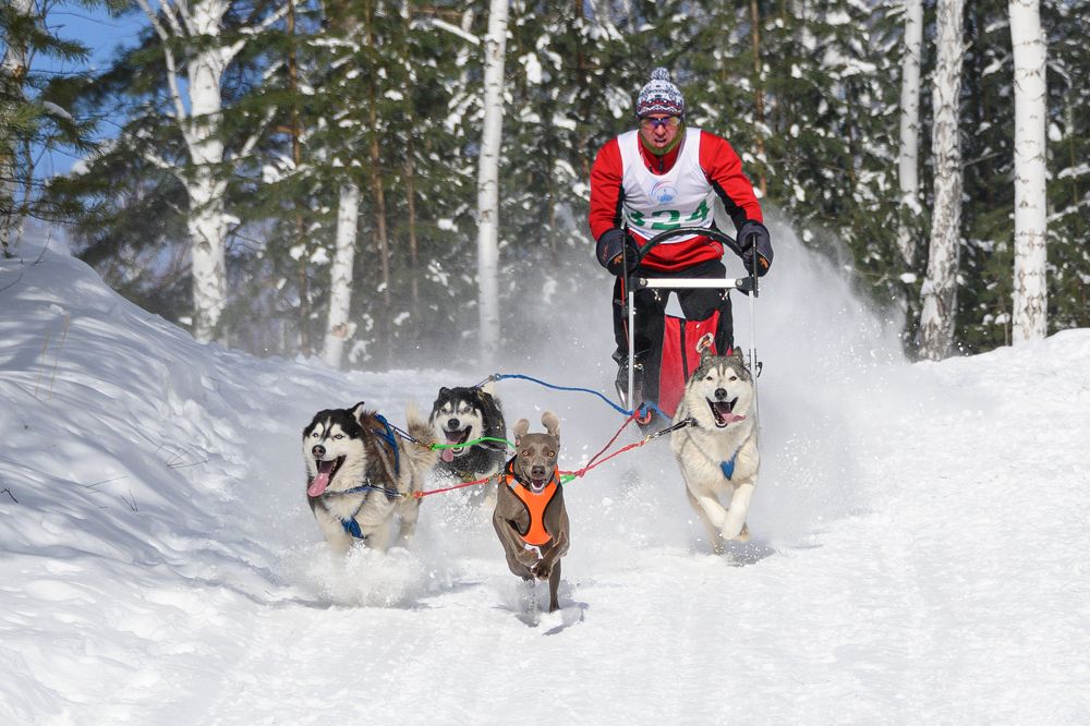 Photograph by Евгений Гецев