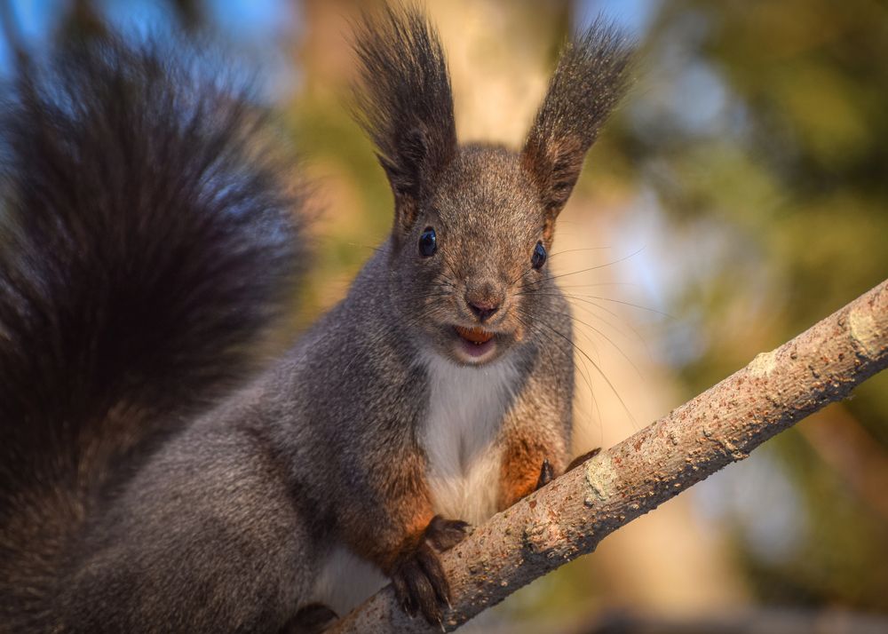 Photograph by Наталья Королева