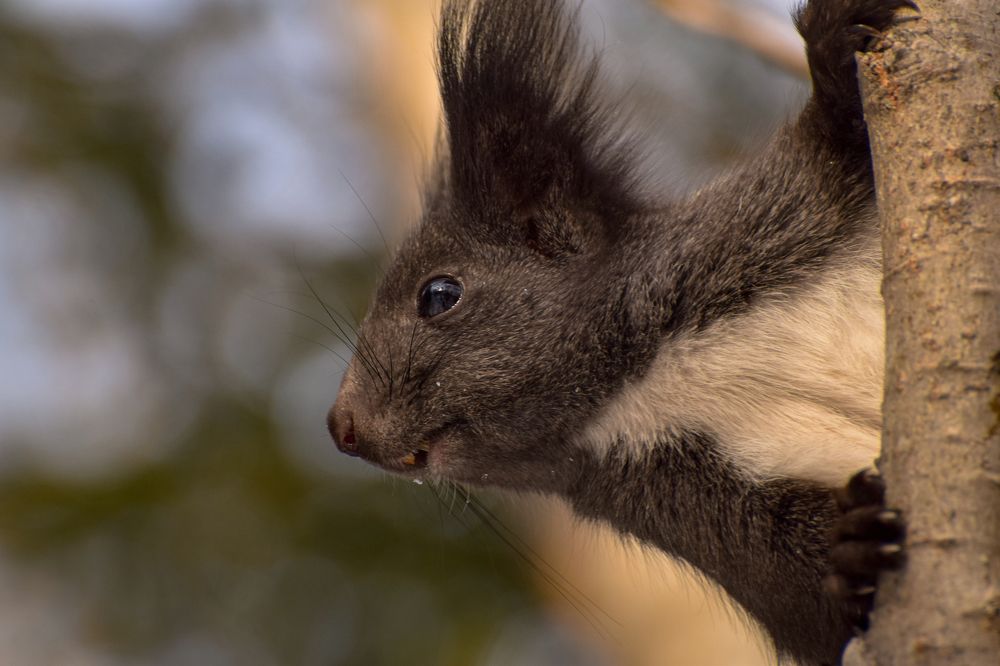 Photograph by Наталья Королева