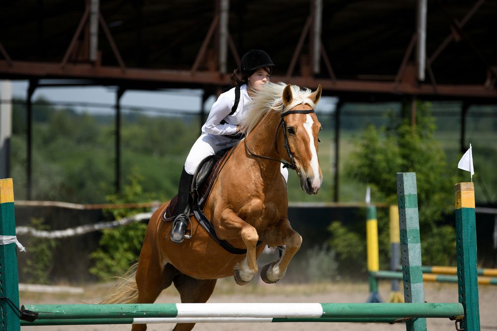Фотография автора Алена Ковалёва
