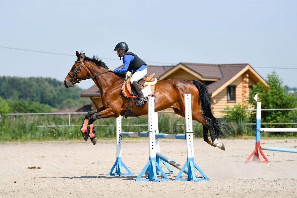 Фотография автора Алена Ковалёва