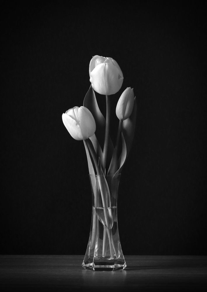 Фотография автора Vadim Svirin