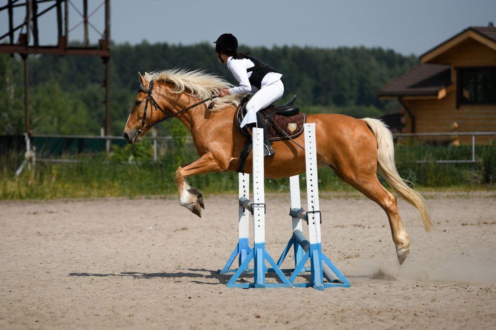 Фотография автора Алена Ковалёва