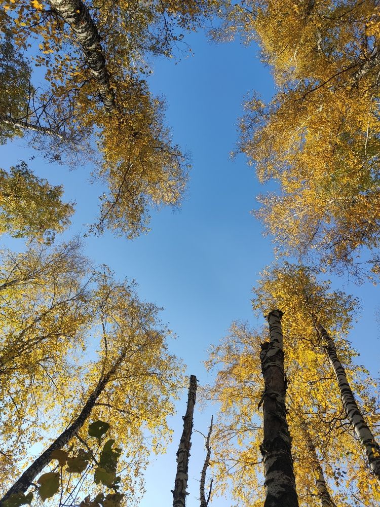 Photograph by Татьяна Панченко