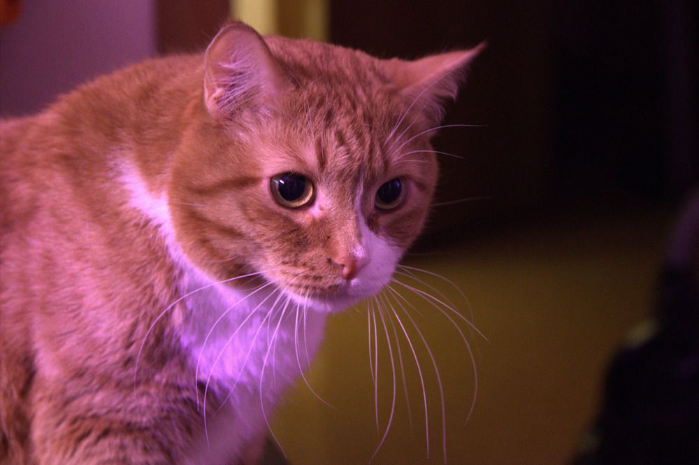 Photograph by Дмитрий Балабан