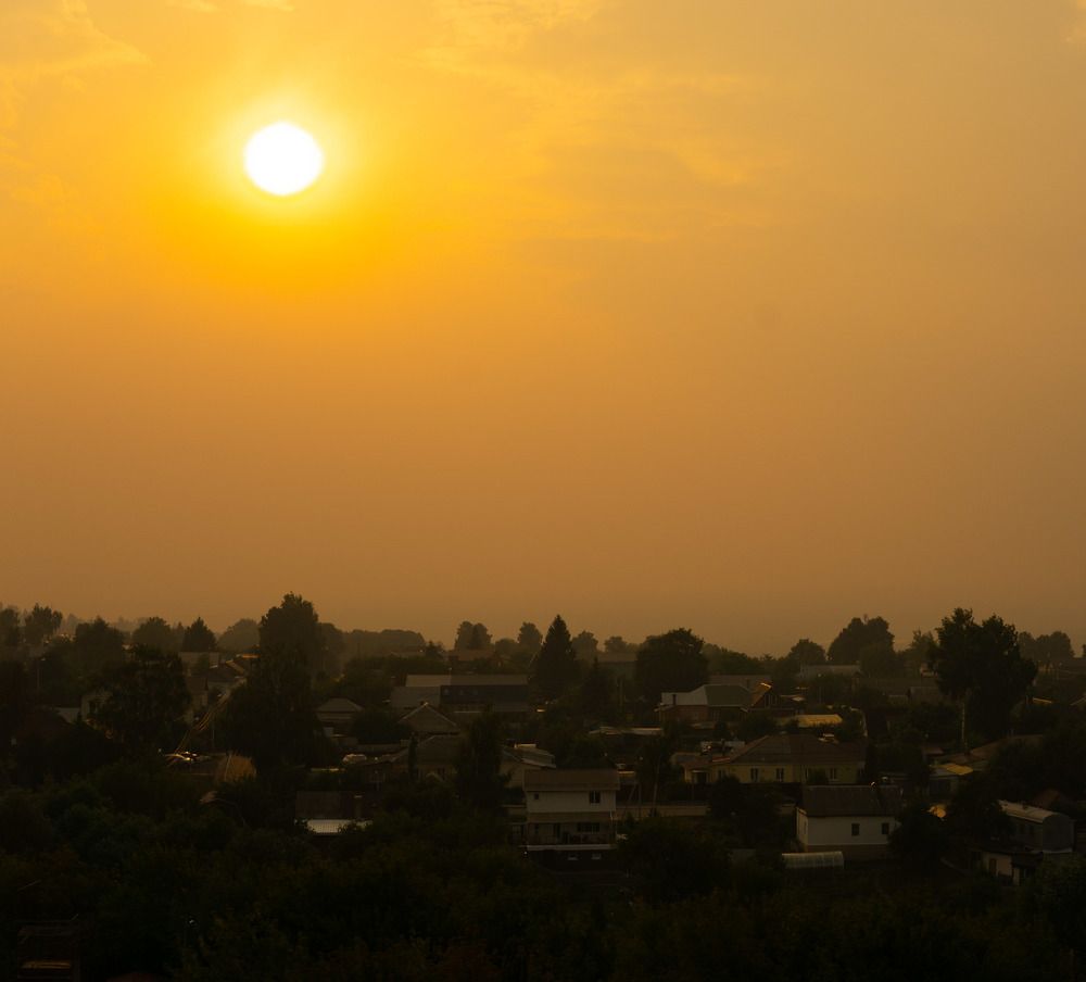 Photograph by Rice Baron