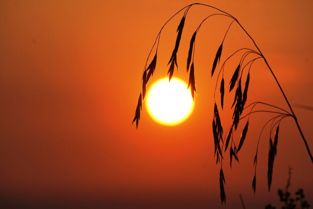 Photograph by Валерий