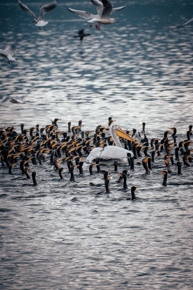 Photograph by DIMITRIOS SIONAKIDIS