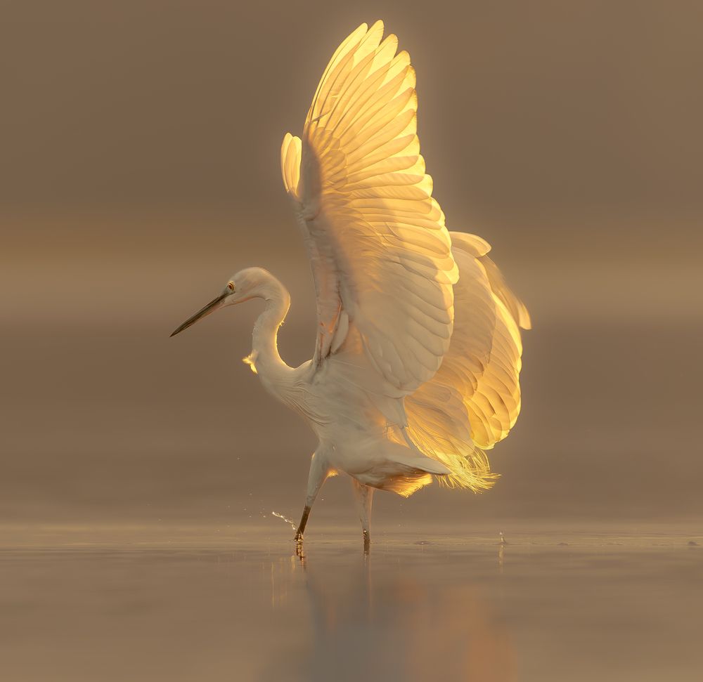 Photograph by Sabari Ganesh Sivakumar