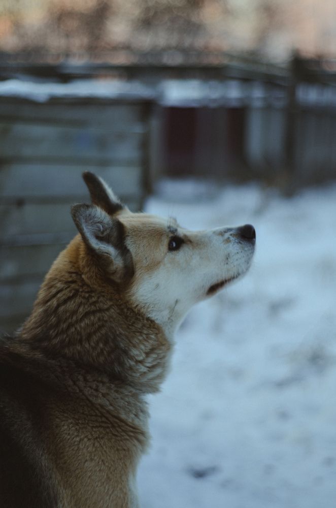 Photograph by Яна