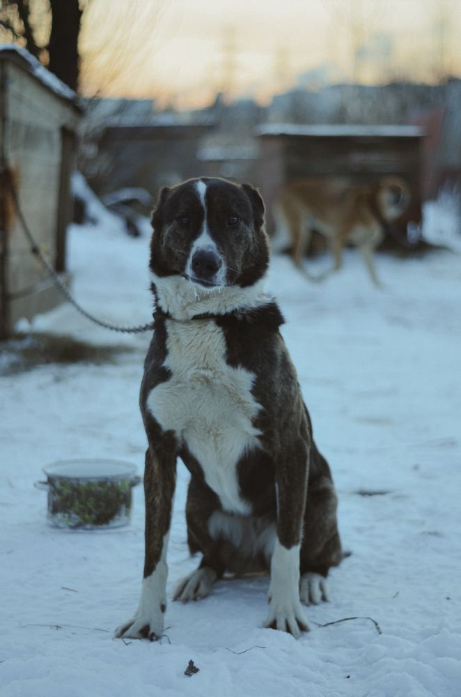 Photograph by Яна