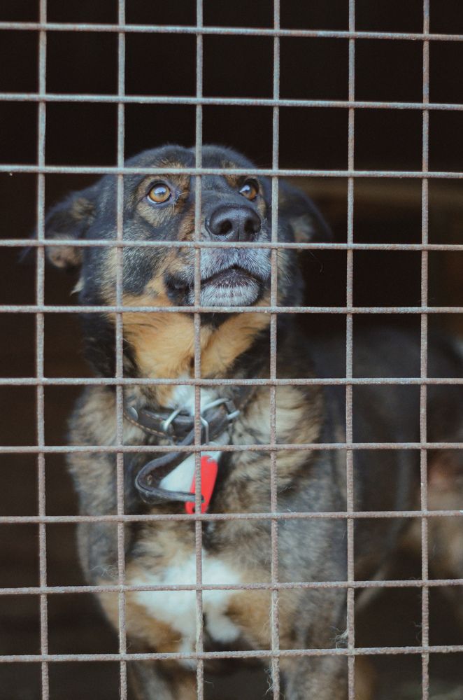 Photograph by Яна