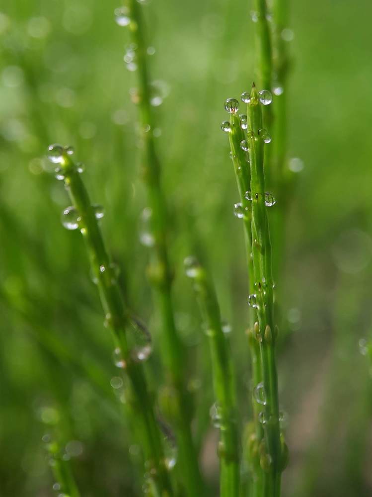 Photograph by Любовь Войтишина