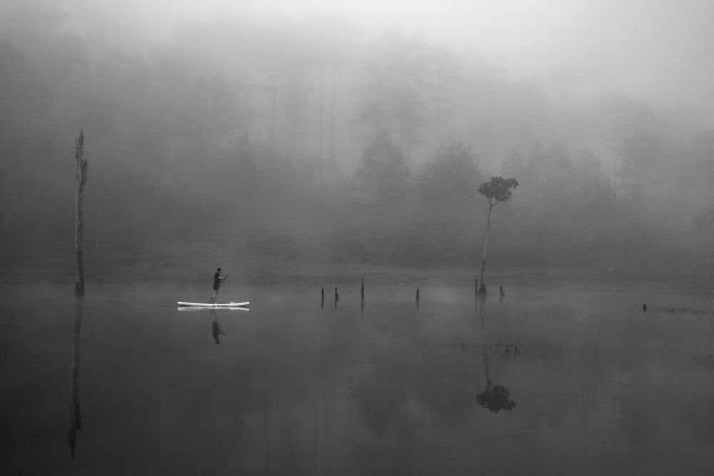 Photograph by Hoai Anh Dang