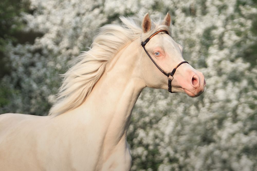 Photograph by Дарья Ералева