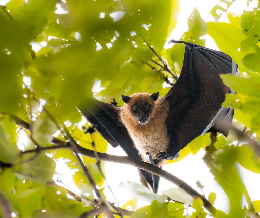 Photograph by Sabari Ganesh Sivakumar